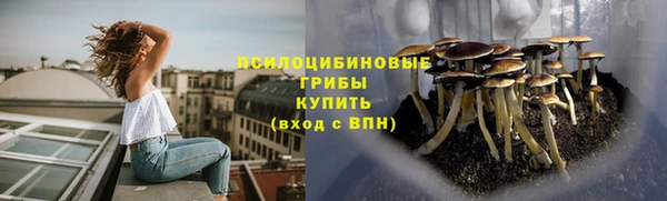дурь Кодинск