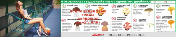 хмурый Алексеевка