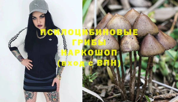 прущая мука Козельск