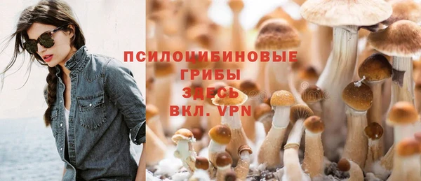 хмурый Алексеевка