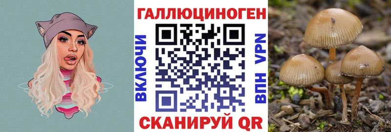 цена наркотик  Калининск  Псилоцибиновые грибы мицелий 